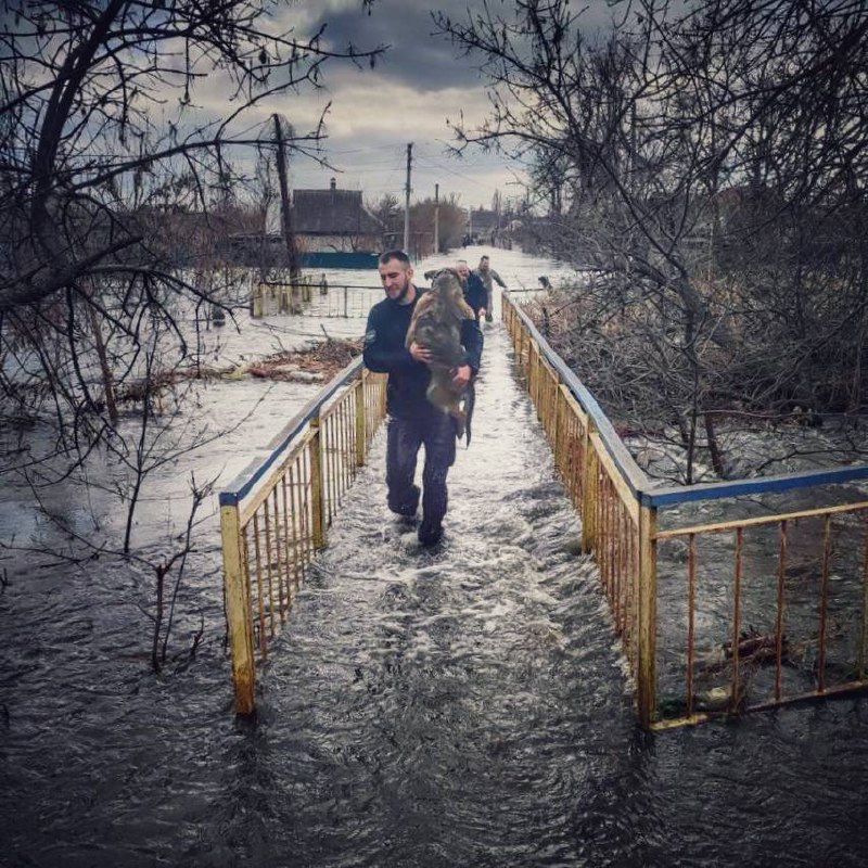 Фото: Краматорская и Славянская патрульная полиция