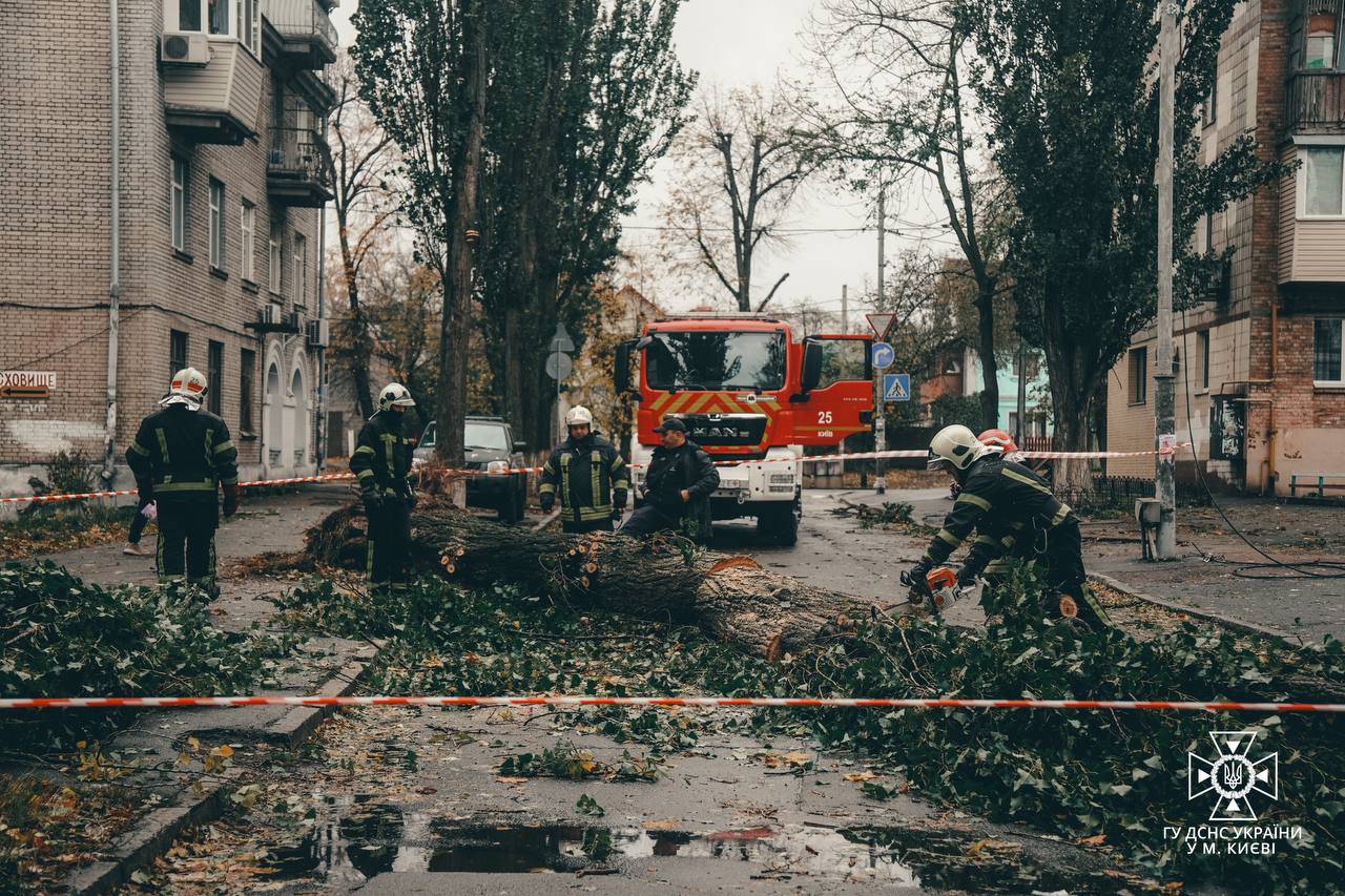 Фото: КМДА