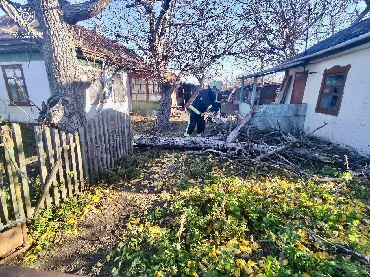 Фото: КМДА